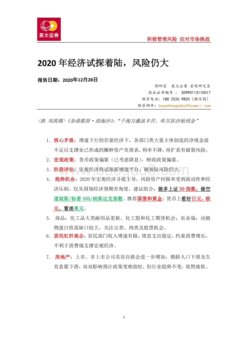 2020年经济试探着陆，风险仍大.pdf_第1页