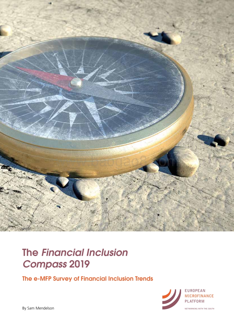 2019普惠金融指南（英文版）.pdf_第1页