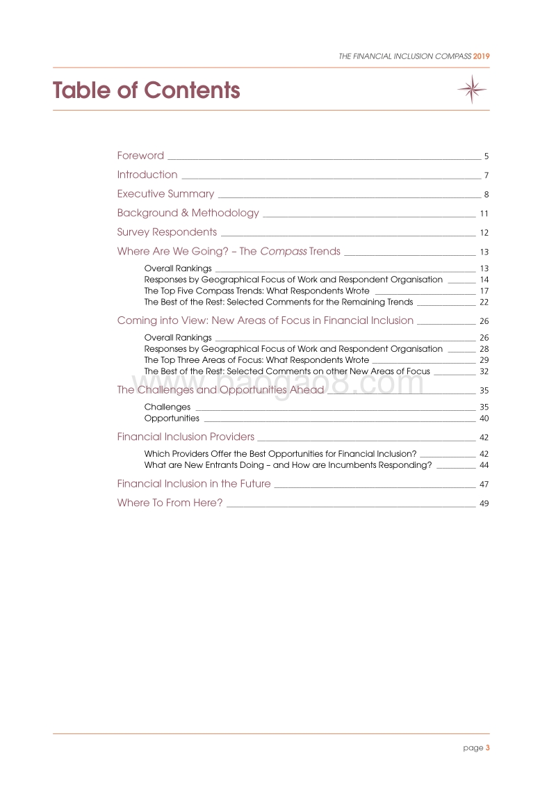 2019普惠金融指南（英文版）.pdf_第3页