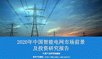 2020年中国智能电网市场前景及投资研究报告.pdf