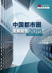 2019中国都市圈发展报告：城镇化白皮书5.0.pdf