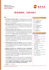 2020年度策略报告：莫道桑榆晚，为霞尚满天.pdf