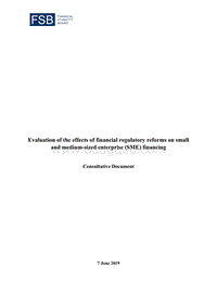 金融监管改革对中小企业融资影响的评估（英文版）.pdf