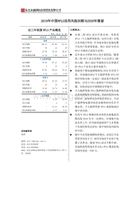 2019年中国NPLS信用风险回顾与2020年展望.pdf