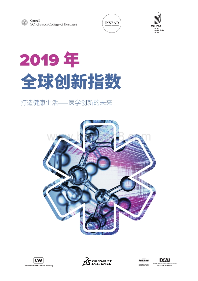 2019年全球创新指数.pdf_第1页
