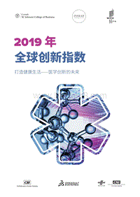 2019年全球创新指数.pdf
