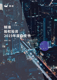 股权投资2019年度白皮书.pdf