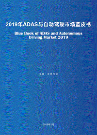 2019年ADAS与自动驾驶市场发展蓝皮书.pdf