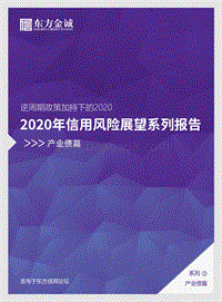 2020年信用风险展望系列报告：产业债篇.pdf