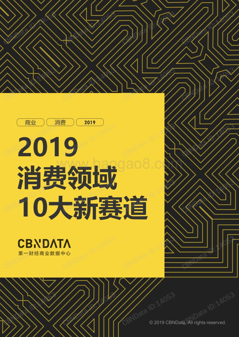 2019消费领域10大新赛道.pdf_第1页