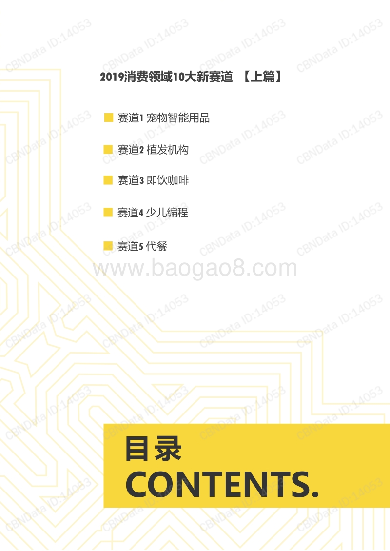 2019消费领域10大新赛道.pdf_第3页