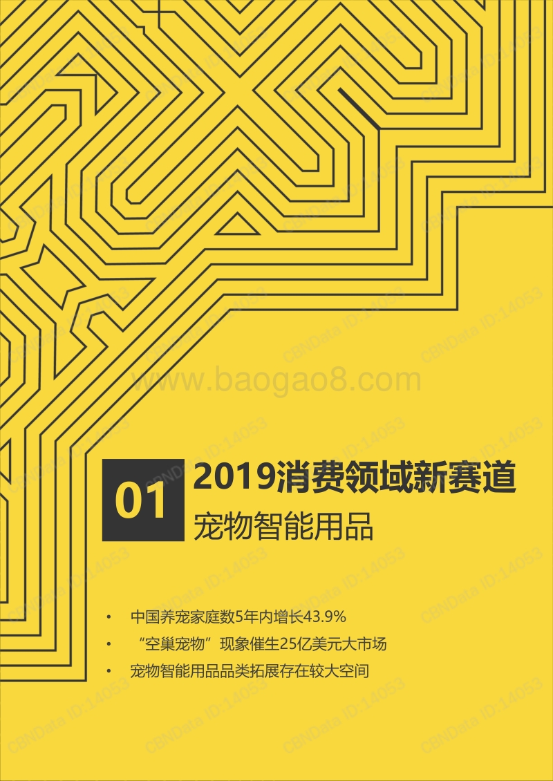 2019消费领域10大新赛道.pdf_第4页