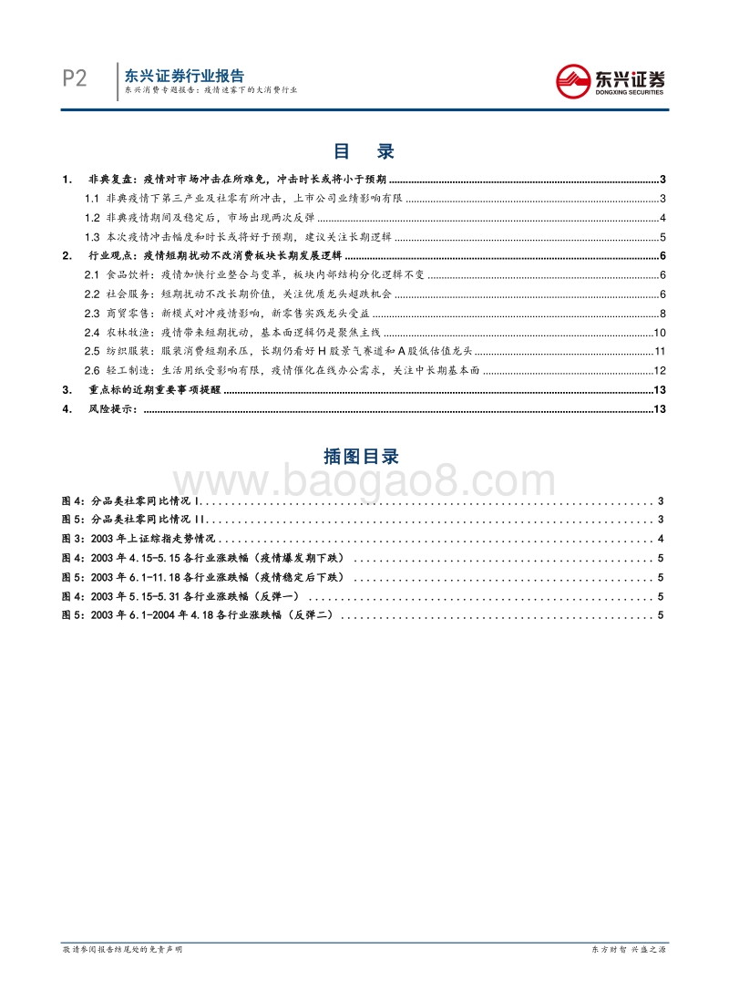 疫情迷雾下的大消费行业.pdf_第2页
