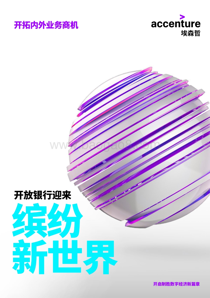 开放银行迎来：缤纷新世界.pdf