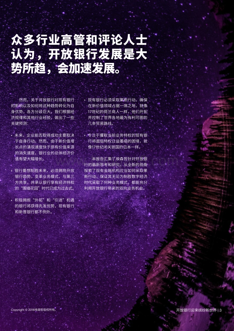 开放银行迎来：缤纷新世界.pdf_第3页