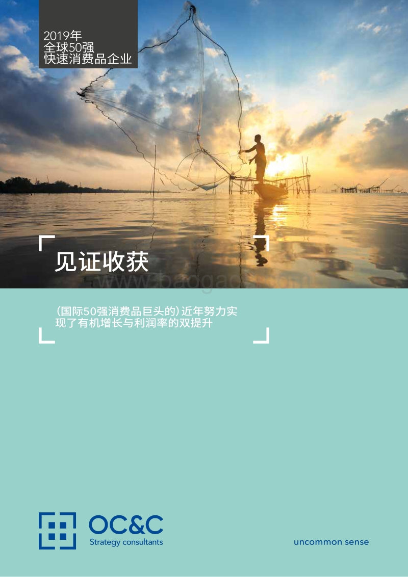 2019年全球50强快速消费品企业.pdf_第1页