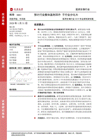 医药生物行业2019年业绩预测专题：预计行业整体盈利回升，子行业分化大.pdf