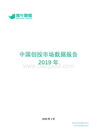 2019年中国创投市场数据报告.pdf
