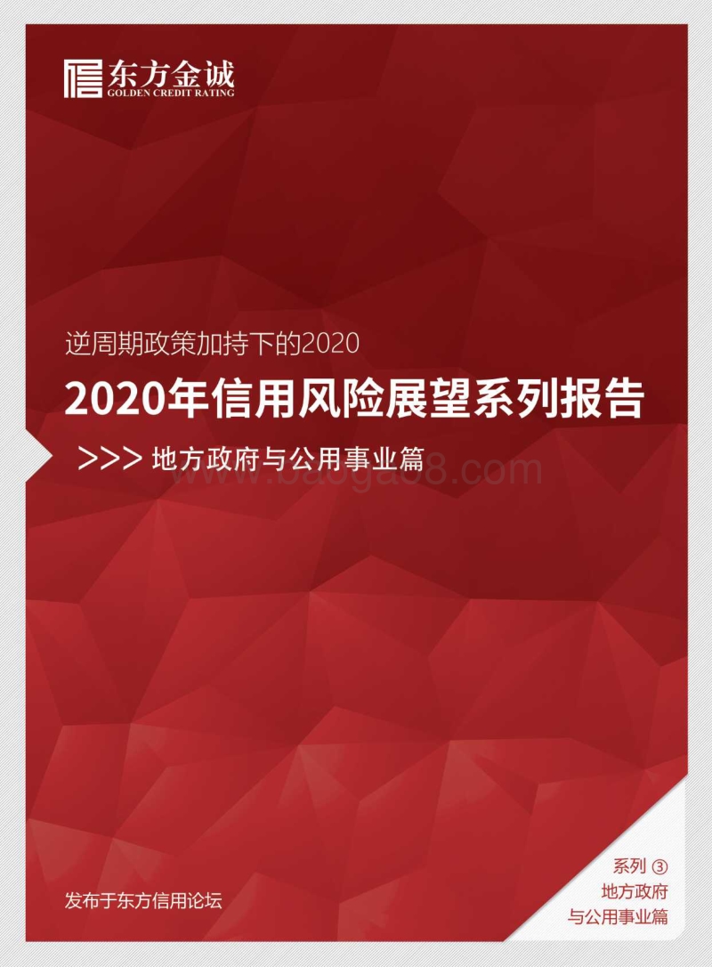 2020年信用风险展望系列报告：地方政府与公用事业篇.pdf_第1页