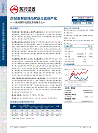 烯烃原料轻质化系列报告之一：烷烃裂解助烯烃实现全面国产化.pdf