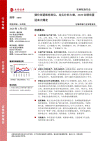 生猪养殖行业深度报告：猪价有望维持高位，龙头补栏大增，2020业绩有望迎来大爆发.pdf