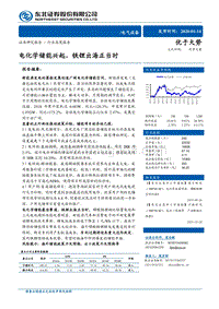 电气设备行业深度报告：电化学储能兴起，铁锂出海正当时.pdf