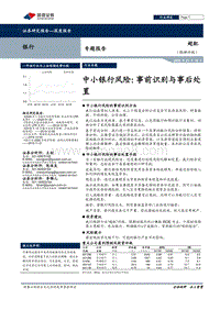 中小银行风险：事前识别与事后处置.pdf