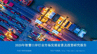 2020年智慧口岸行业市场发展前景及投资研究报告.pdf