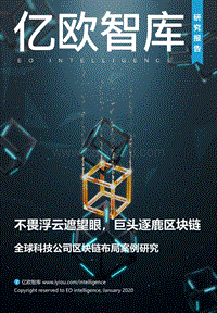 全球科技公司区块链布局案例研究.pdf