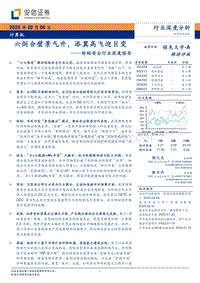 网络安全行业深度报告：六剑合璧景气升，添翼高飞迎巨变.pdf