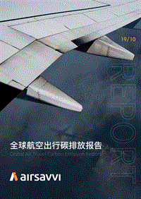 全球航空出行碳排放报告.pdf
