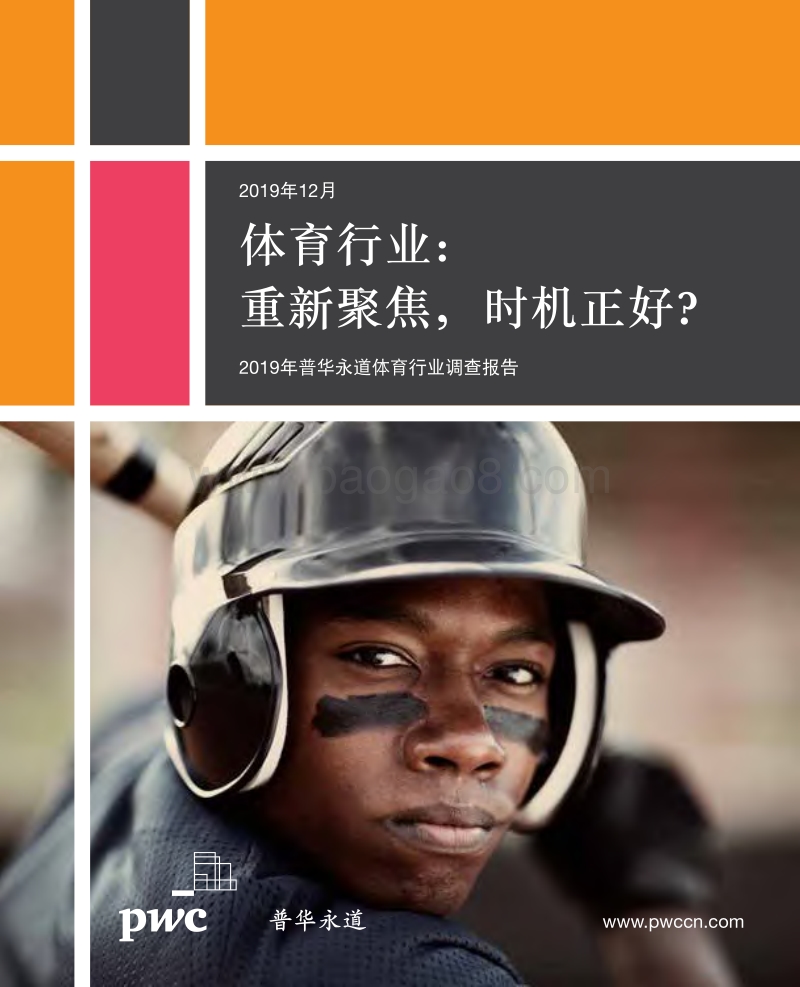 2019年体育行业调查报告.pdf_第1页