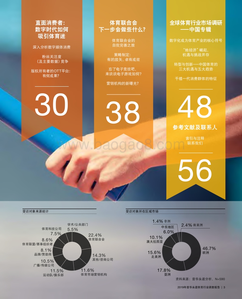2019年体育行业调查报告.pdf_第3页