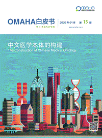 中文医学本体的构建.pdf