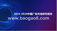 2019-2020中国广告市场研究报告.pptx