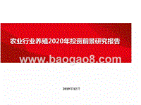 农业行业养殖2020年投资前景研究报告.pptx