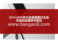 2019-2020多元金融美国衍生品市场的发展研究报告.pptx