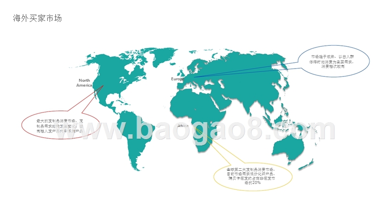 2019-2020假发行业洞察报告.pptx_第3页