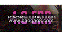 2019-2020粉丝经济4.0时代研究报告.pptx
