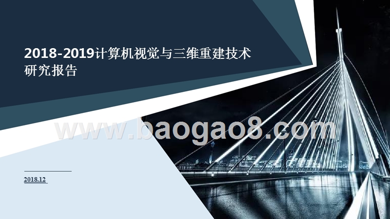 2018-2019计算机视觉与三维重建技术研究报告.pptx_第1页