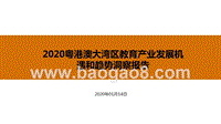 2020粤港澳大湾区教育产业发展机遇和趋势洞察报告.pptx