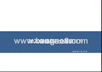 2020保健品行业洞察报告.pptx