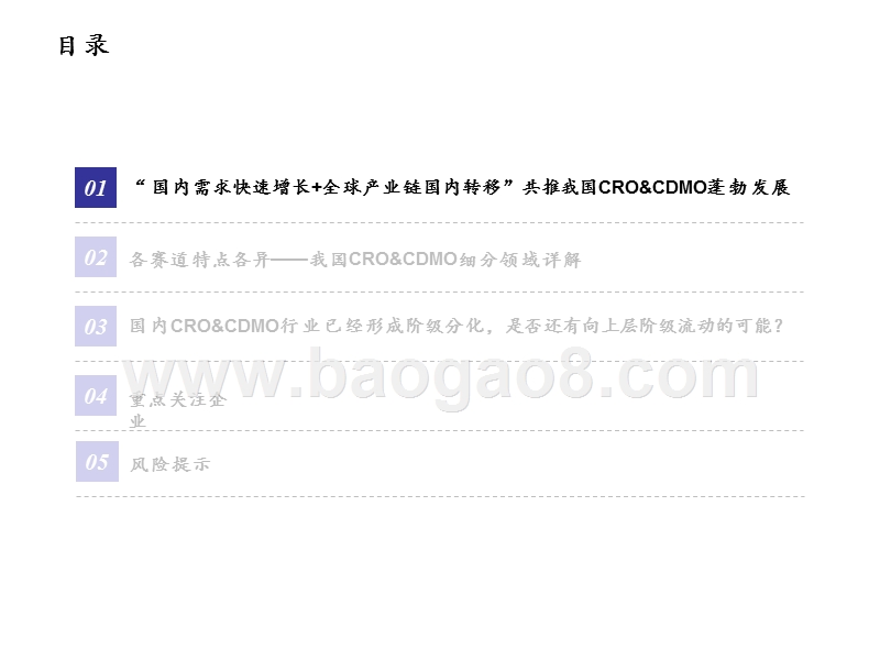 2020中国CRO&CDMO行业研究报告.pptx_第4页