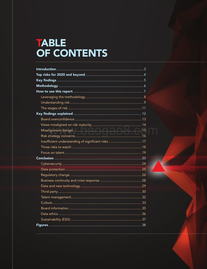 OnRisk-2020-Report.pdf_第2页