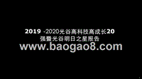 2019-2020光谷高科技高成长20强暨光谷明日之星报告.pptx