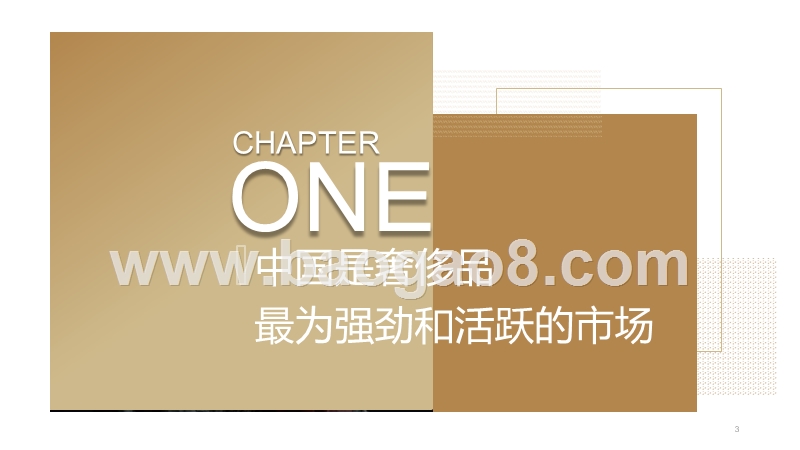 2019-2020奢侈品消费行业研究报告.pptx_第3页