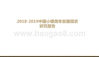2018-2019中国小镇青年发展现状研究报告.pptx