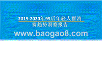 2019-2020年95后年轻人群消费趋势洞察报告.pptx