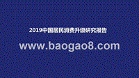 2019中国居民消费升级研究报告.pptx