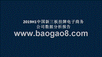 2019H1中国新三板挂牌电子商务公司数据分析报告.pptx